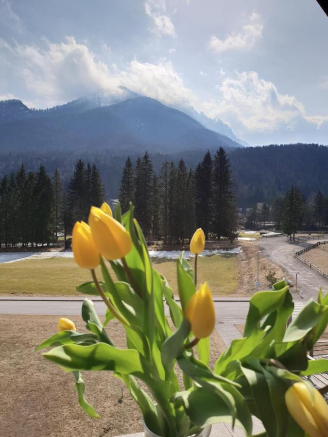 Apartma Kurji vrh - Chicken top Kranjska Gora Exteriör bild