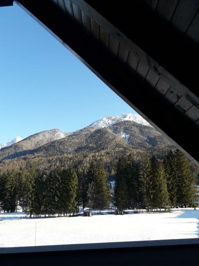 Apartma Kurji vrh - Chicken top Kranjska Gora Exteriör bild